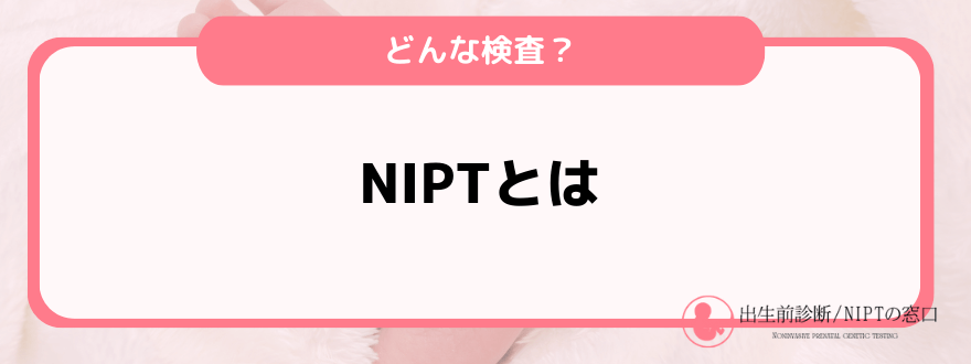 NIPTおすすめ_とは