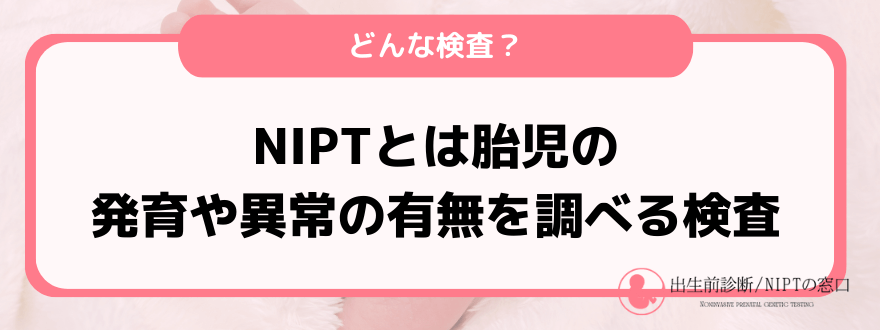 NIPT費用_とは