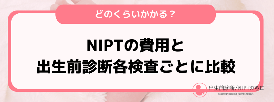 NIPT費用_比較
